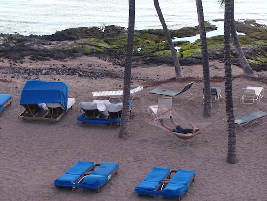 P1060908 (02-23-2017 18:35)