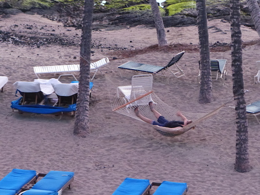 P1060910 (02-23-2017 18:35)