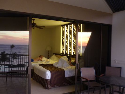 P1060911 (02-23-2017 18:36)