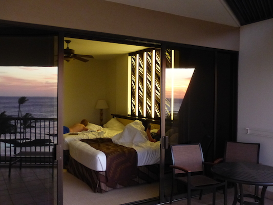 P1060912 (02-23-2017 18:36)