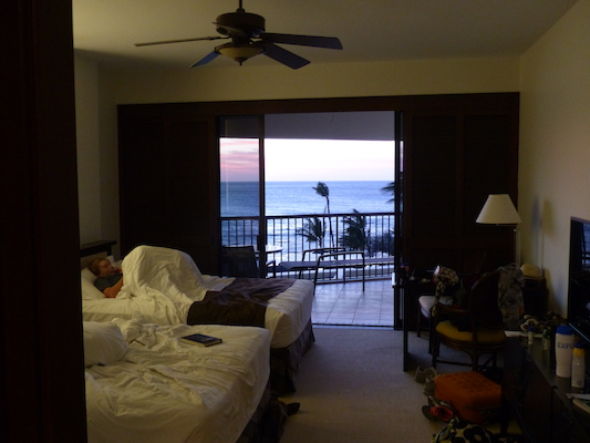 P1060913 (02-23-2017 18:38)