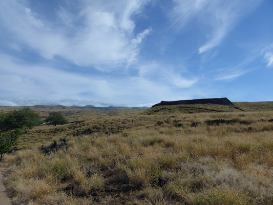 P1060914 (02-24-2017 09:50)