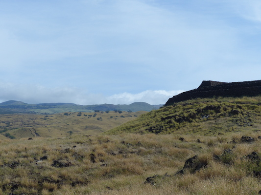 P1060915 (02-24-2017 09:50)