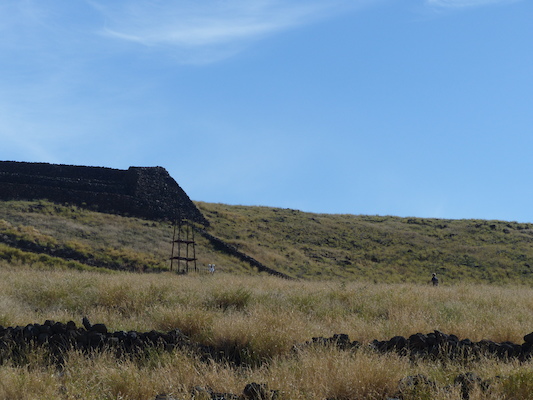 P1060916 (02-24-2017 09:50)