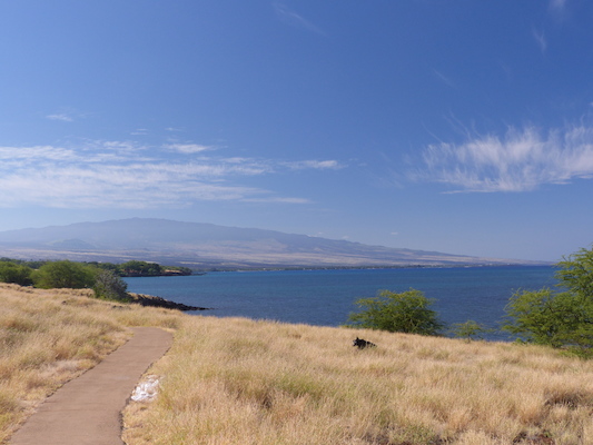 P1060917 (02-24-2017 09:51)