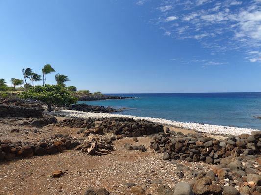 P1060918 (02-24-2017 11:01)