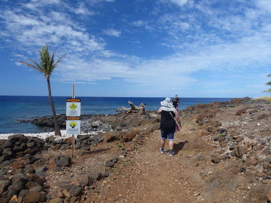 P1060919 (02-24-2017 11:01)