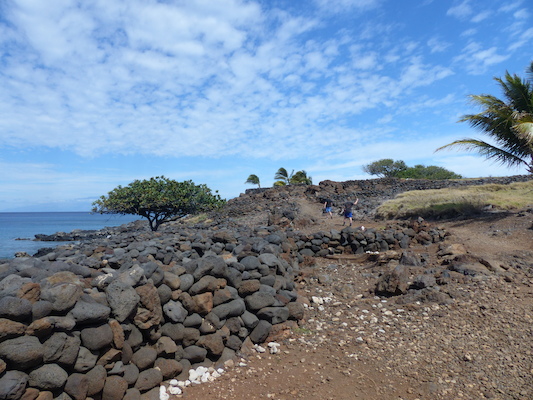 P1060920 (02-24-2017 11:03)