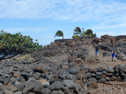 P1060921 (02-24-2017 11:03)