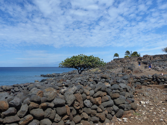 P1060922 (02-24-2017 11:03)