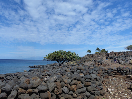 P1060923 (02-24-2017 11:03)