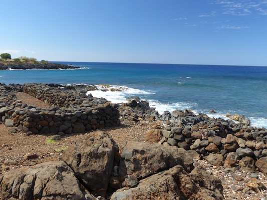 P1060924 (02-24-2017 11:04)