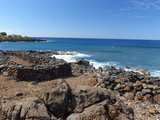 P1060925 (02-24-2017 11:04)