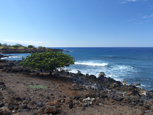 P1060926 (02-24-2017 11:05)