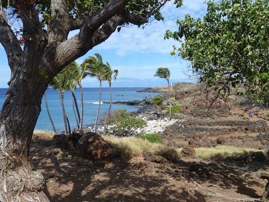 P1060927 (02-24-2017 11:06)