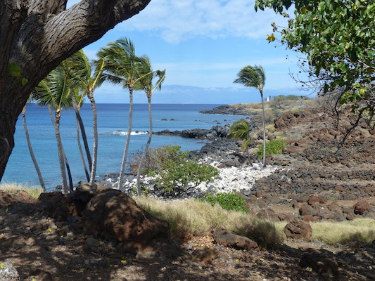 P1060928 (02-24-2017 11:06)