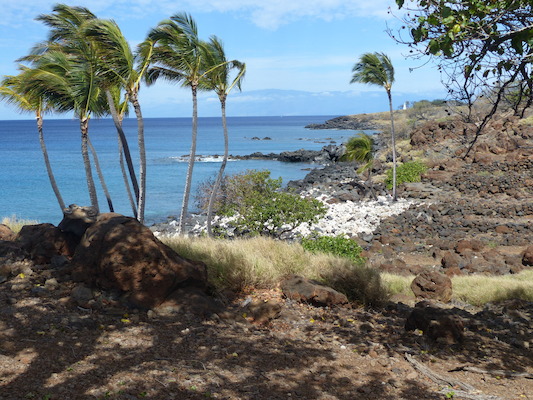 P1060929 (02-24-2017 11:06)