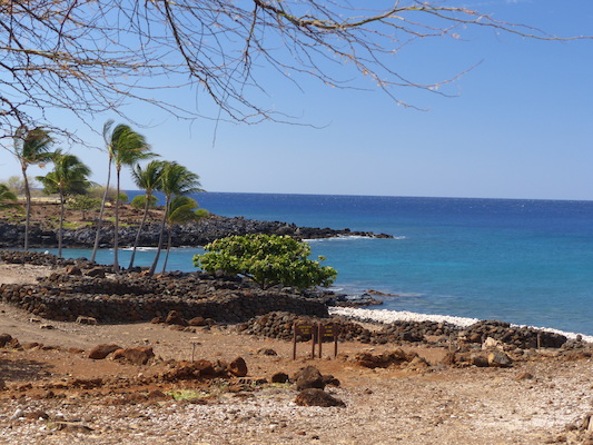 P1060930 (02-24-2017 11:08)