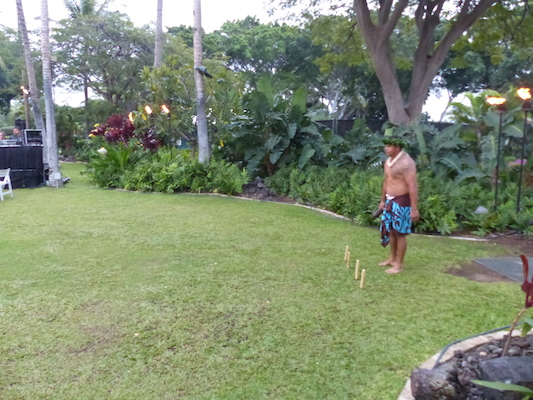 P1060948 (02-25-2017 17:52)