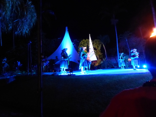 P1060950 (02-25-2017 19:02)