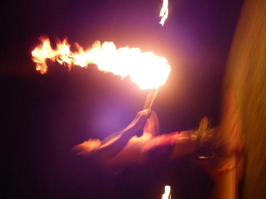 P1060951 (02-25-2017 19:40)