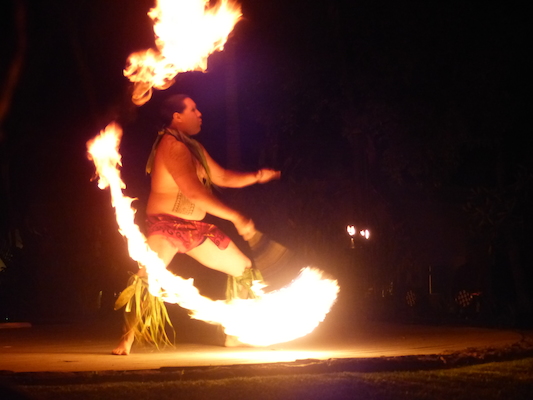 P1060952 (02-25-2017 19:40)