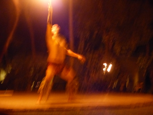 P1060953 (02-25-2017 19:40)