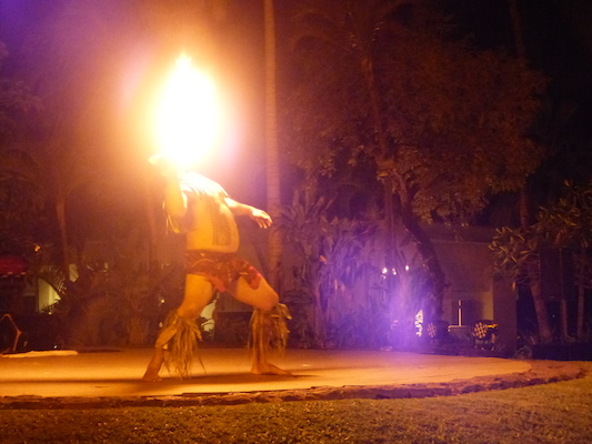 P1060955 (02-25-2017 19:40)