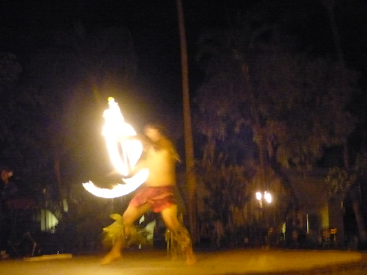 P1060956 (02-25-2017 19:44)