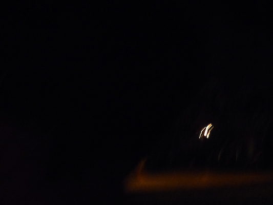 P1060957 (02-25-2017 19:44)