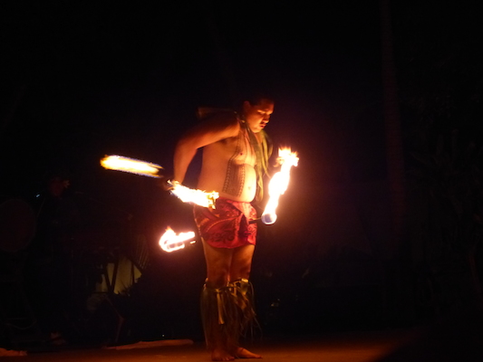 P1060959 (02-25-2017 19:44)