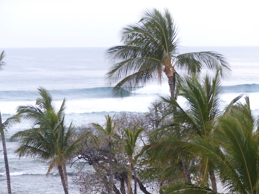 P1060960 (02-26-2017 07:21)