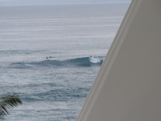 P1060961 (02-26-2017 07:22)