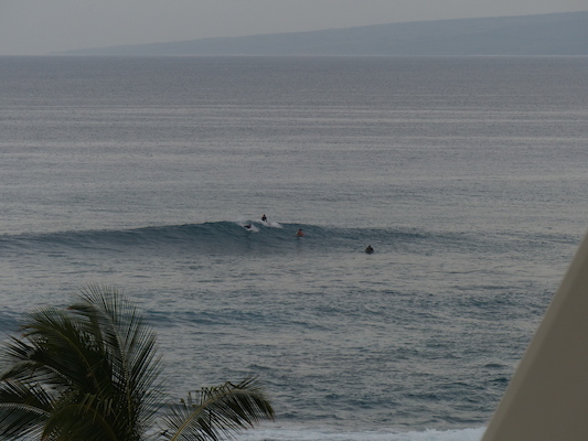 P1060962 (02-26-2017 07:23)