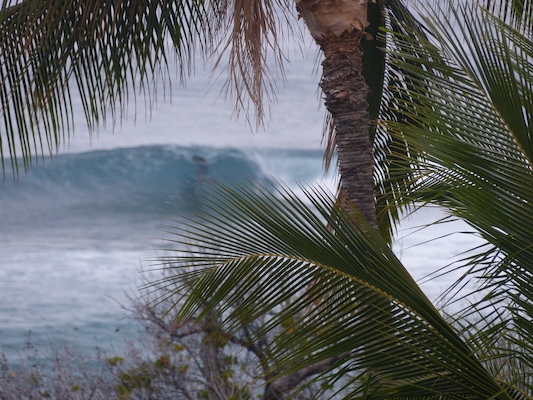 P1060963 (02-26-2017 07:24)