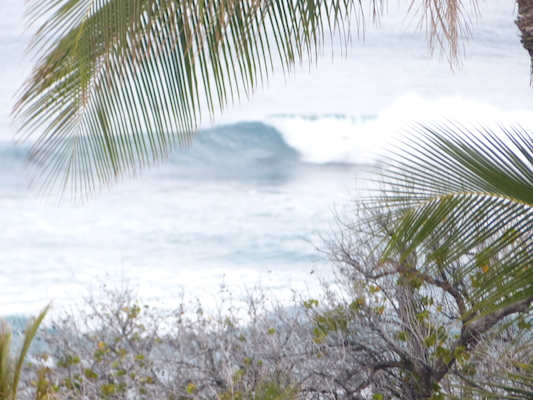 P1060964 (02-26-2017 07:25)