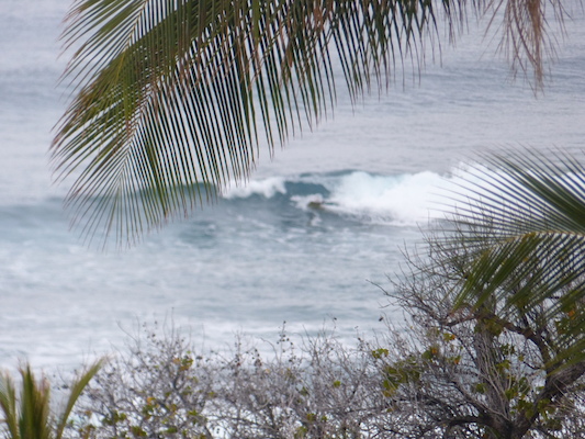 P1060965 (02-26-2017 07:25)