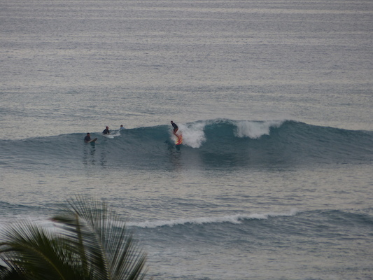 P1060966 (02-26-2017 07:26)