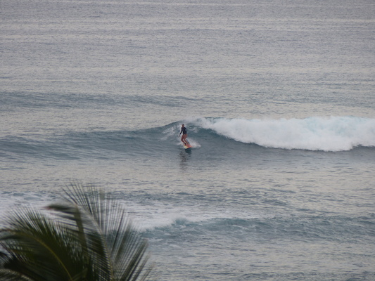 P1060967 (02-26-2017 07:26)