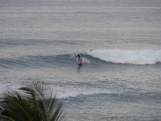 P1060968 (02-26-2017 07:26)