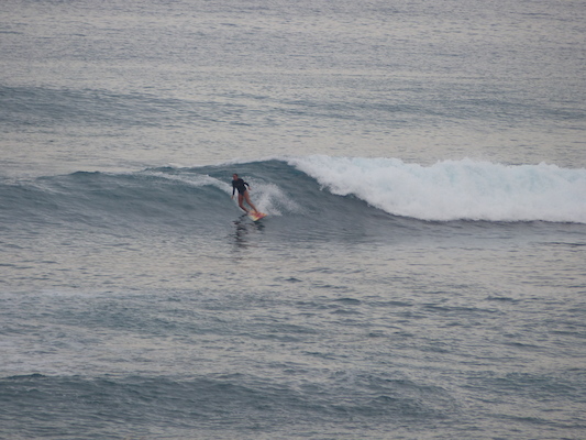 P1060969 (02-26-2017 07:26)