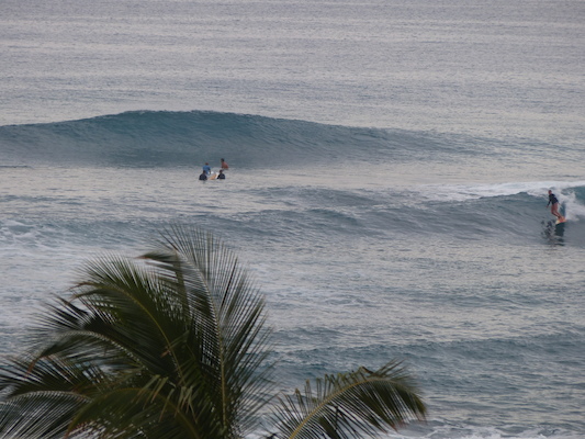 P1060970 (02-26-2017 07:26)