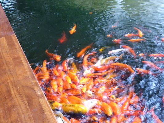 P1060971 (02-26-2017 08:55)