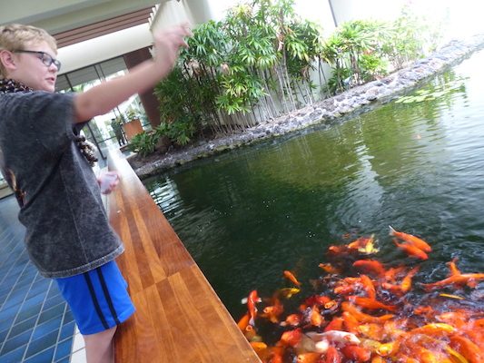 P1060972 (02-26-2017 08:55)