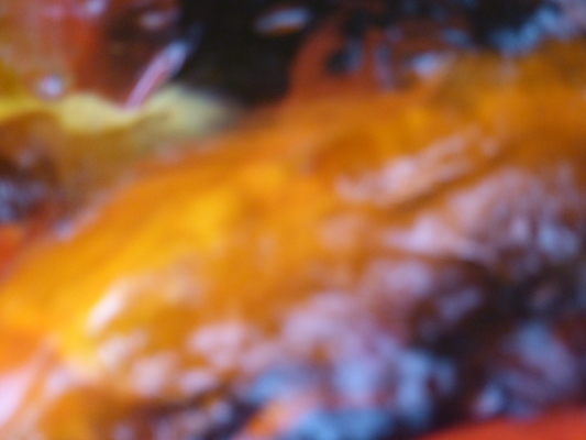 P1060975 (02-26-2017 08:55)