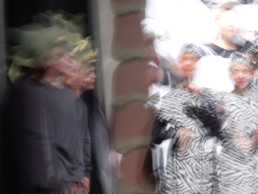 P1060991 (04-08-2017 18:10)