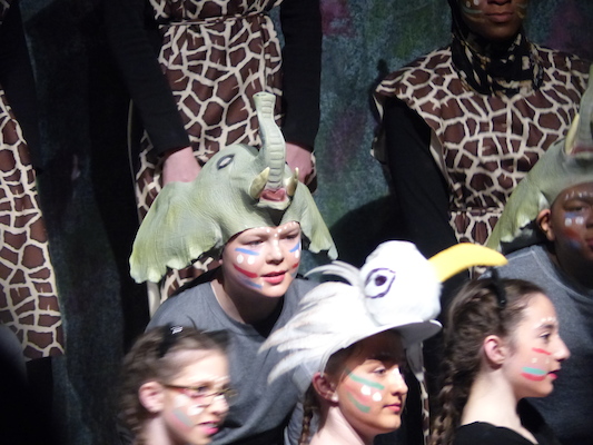 P1070004 (04-08-2017 18:44)