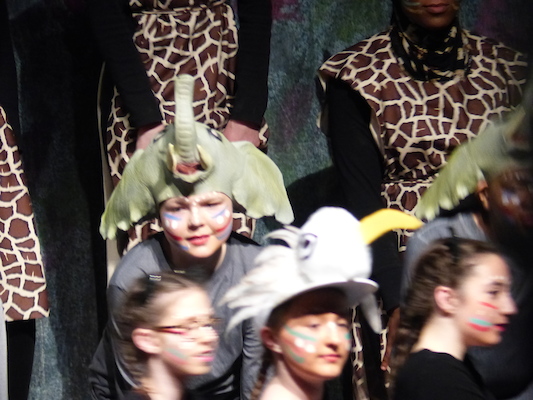 P1070005 (04-08-2017 18:44)