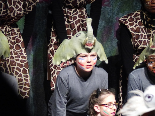 P1070006 (04-08-2017 18:44)