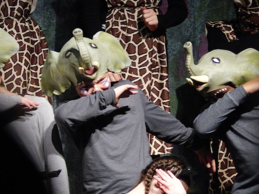 P1070008 (04-08-2017 18:44)